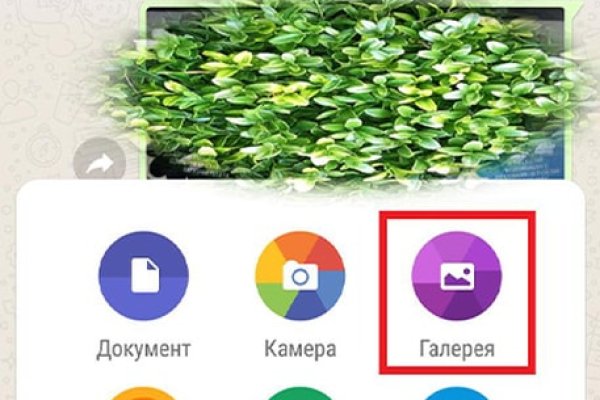 Сайты по продаже наркотиков
