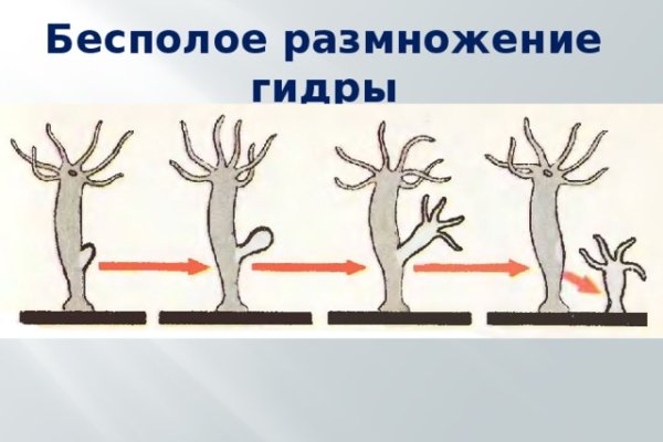 Кракен сайт ссылка kr2web in