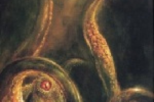 Не работает сайт kraken