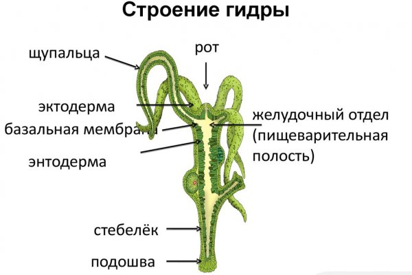 Кракен сайт наркотиков