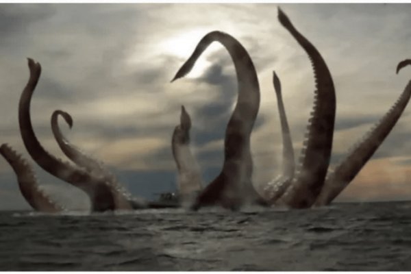 Kraken 18