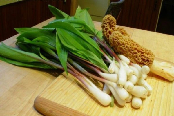 Кракен даркнет маркет ссылка тор