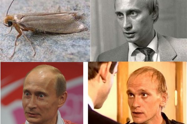 2krn cc кракен